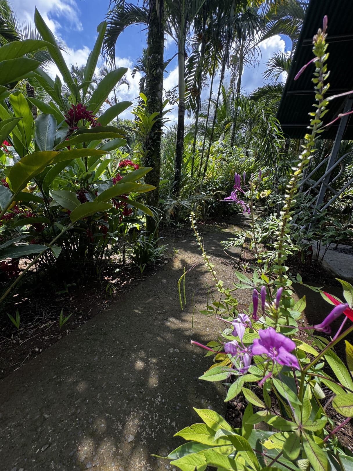 Property with Restaurant and Cabins for Sale near La Fortuna Costa Rica, photo 5