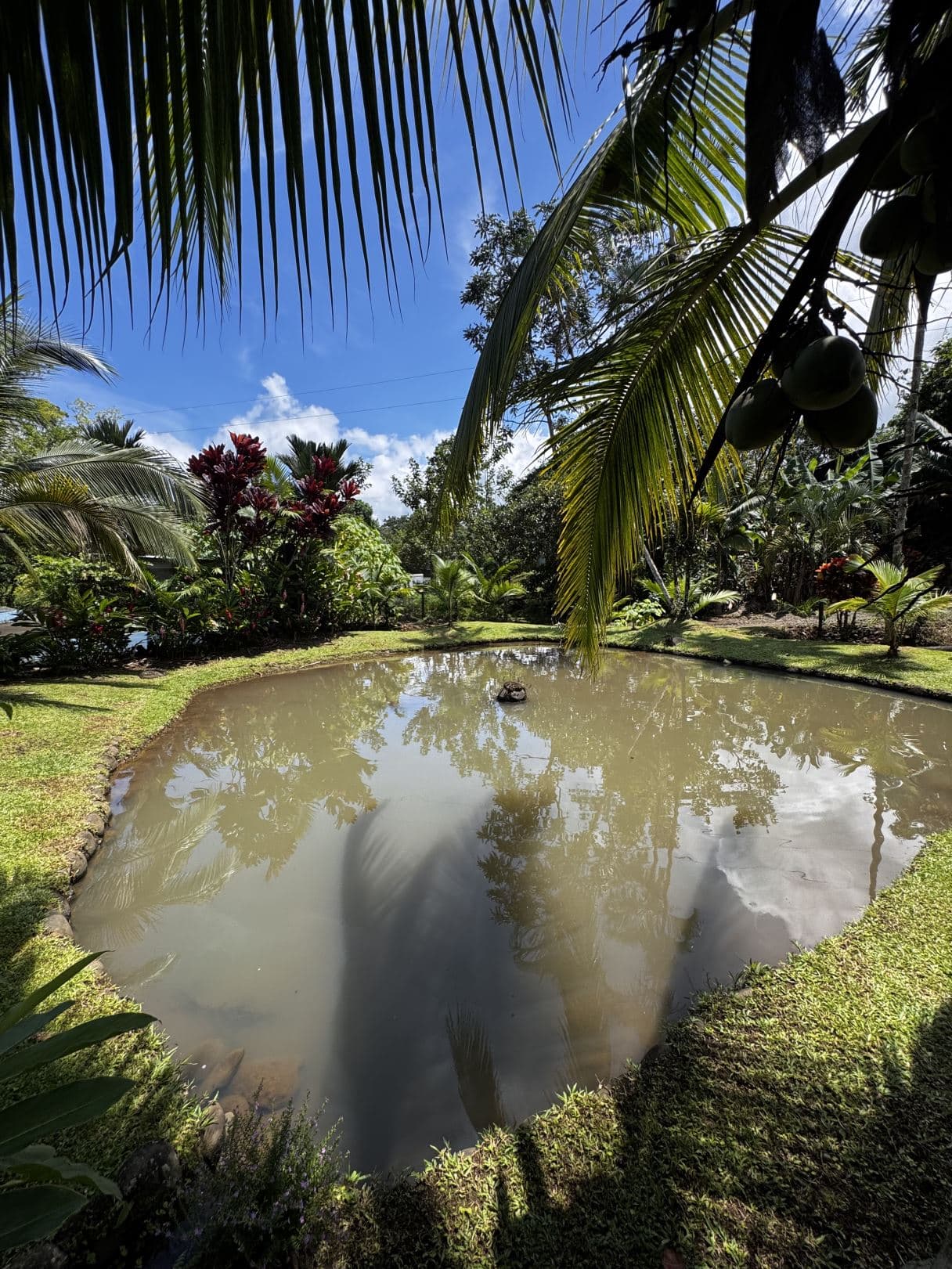 Property with Restaurant and Cabins for Sale near La Fortuna Costa Rica