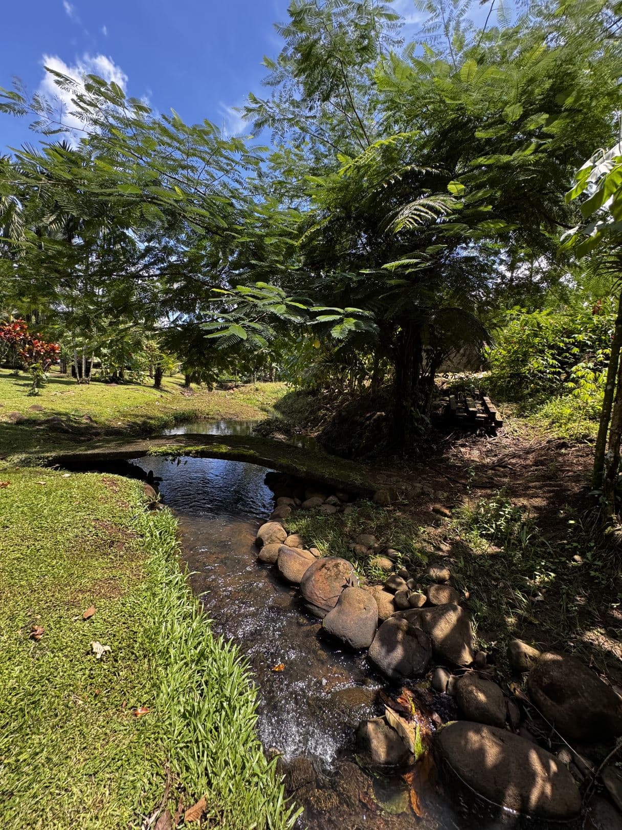 Property with Restaurant and Cabins for Sale near La Fortuna Costa Rica, photo 4