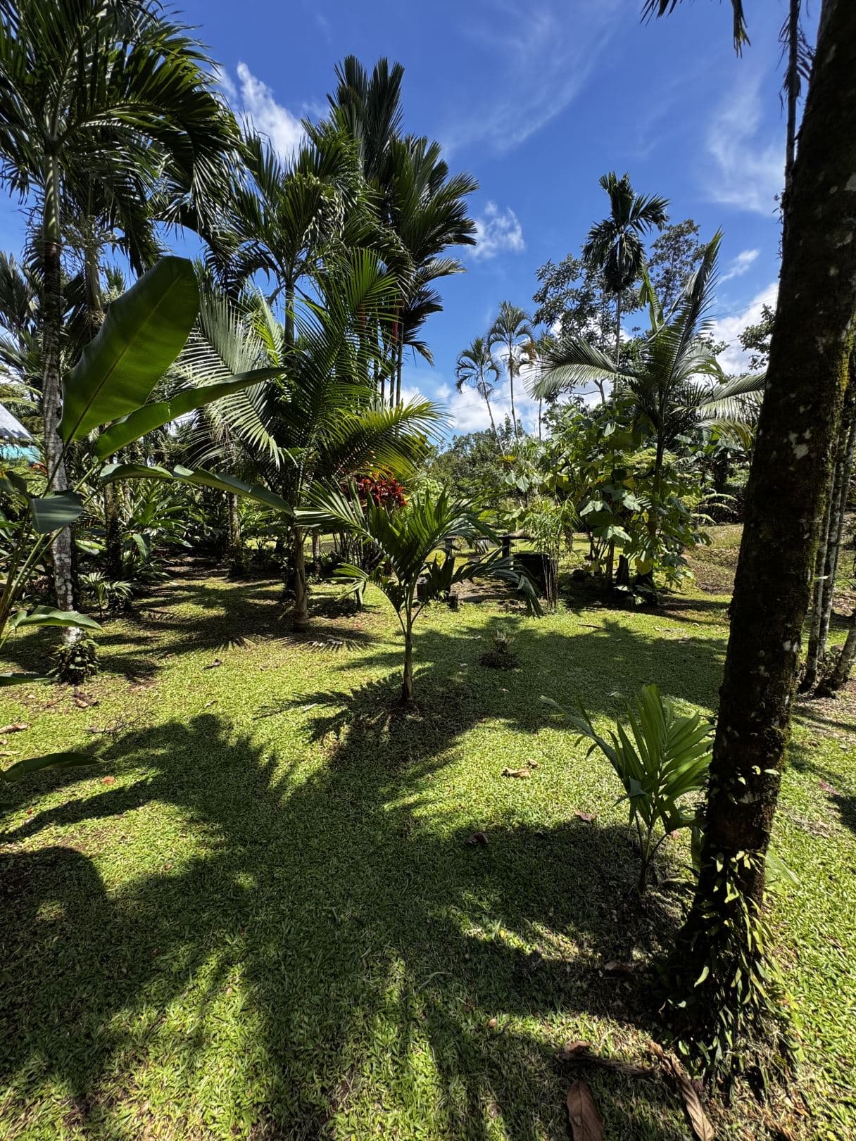 Property with Restaurant and Cabins for Sale near La Fortuna Costa Rica, photo 8