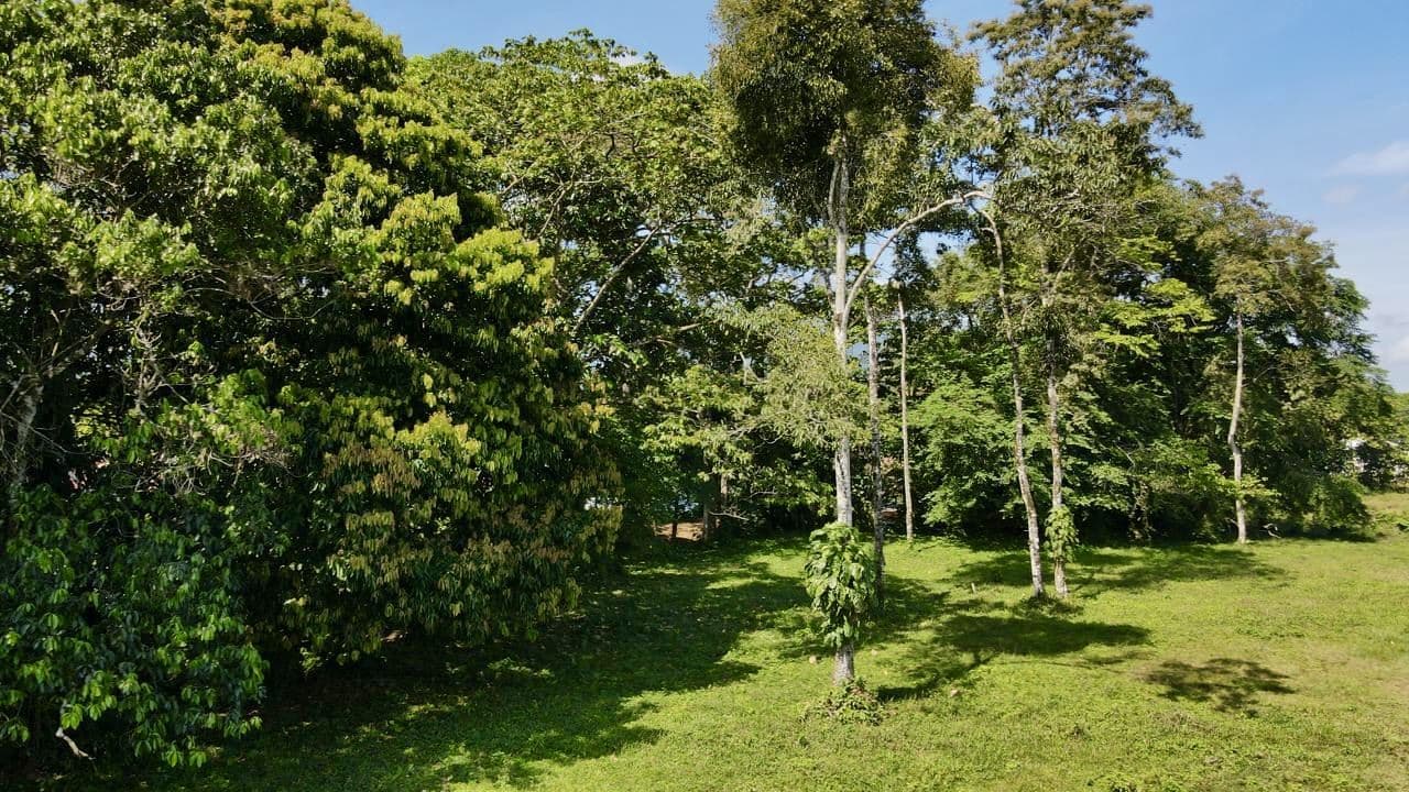 For sale: 3.5-hectare property in La Fortuna with a small creek and just minutes from downtown., photo 10