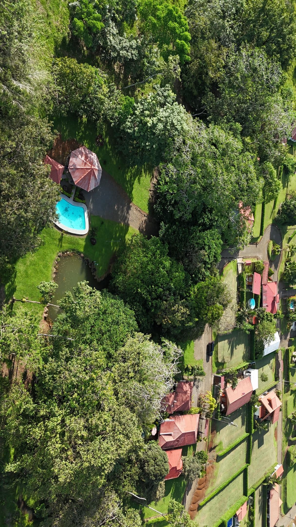 Lot for Sale in a Private Gated Community in Chachagua, Near La Fortuna – Ready to Build, photo 4