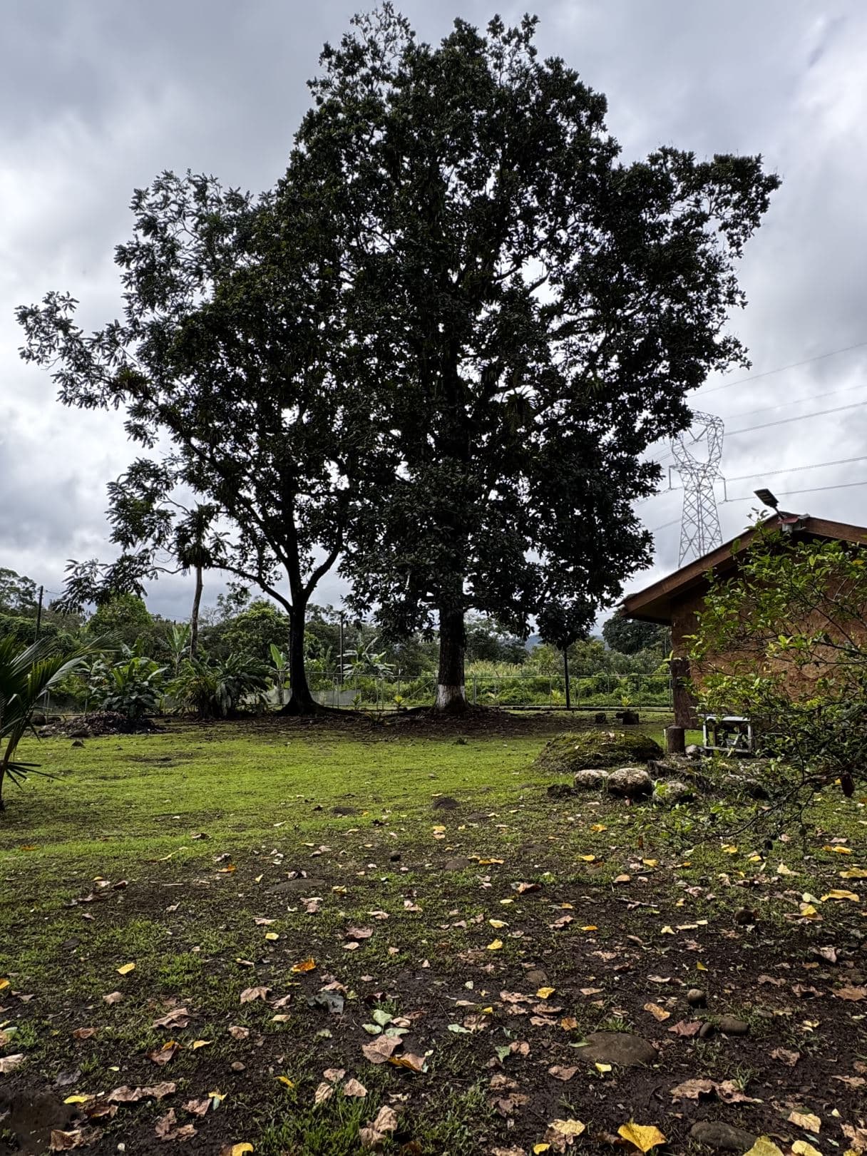 For Sale Eco-Friendly Cabin Surrounded by Nature 40 Minutes from La Fortuna, photo 16