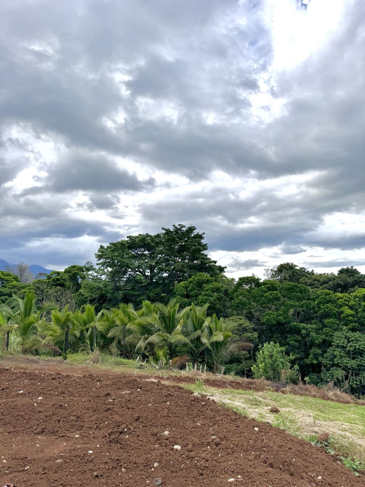 Property with Creek, Panoramic Views and Residential Potential near La Fortuna – 6,395 m², photo 23