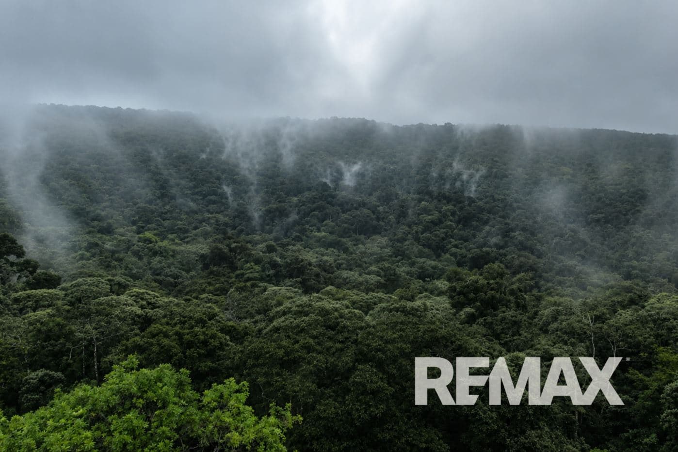 757 Hectares of Cloud Forest for Sale in Costa Rica – Ideal for Carbon Credits, Conservation and Wellness Development