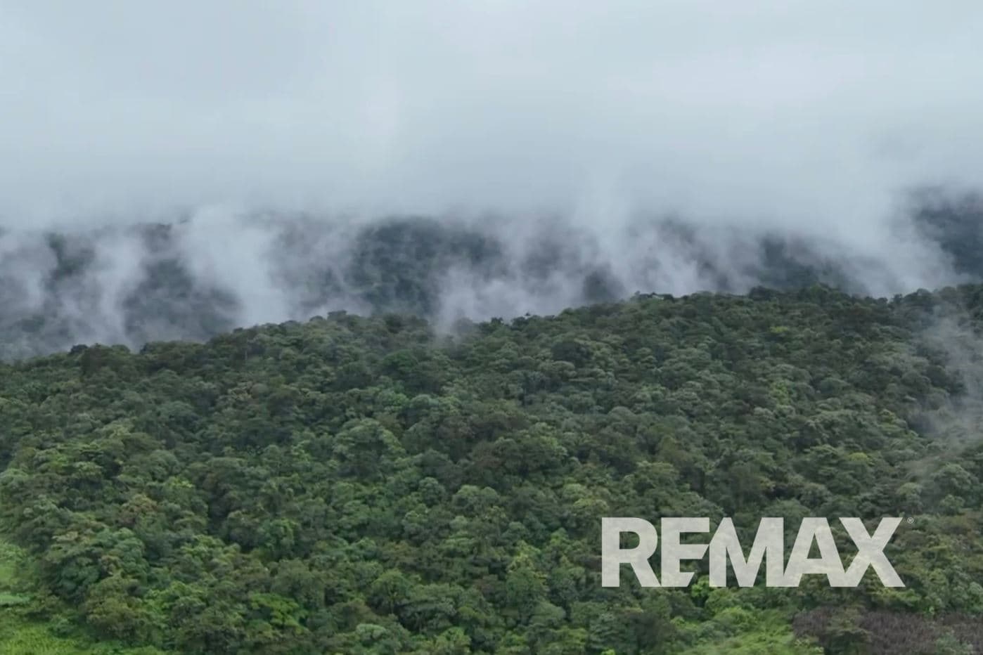 757 Hectares of Cloud Forest for Sale in Costa Rica – Ideal for Carbon Credits, Conservation and Wellness Development, photo 4