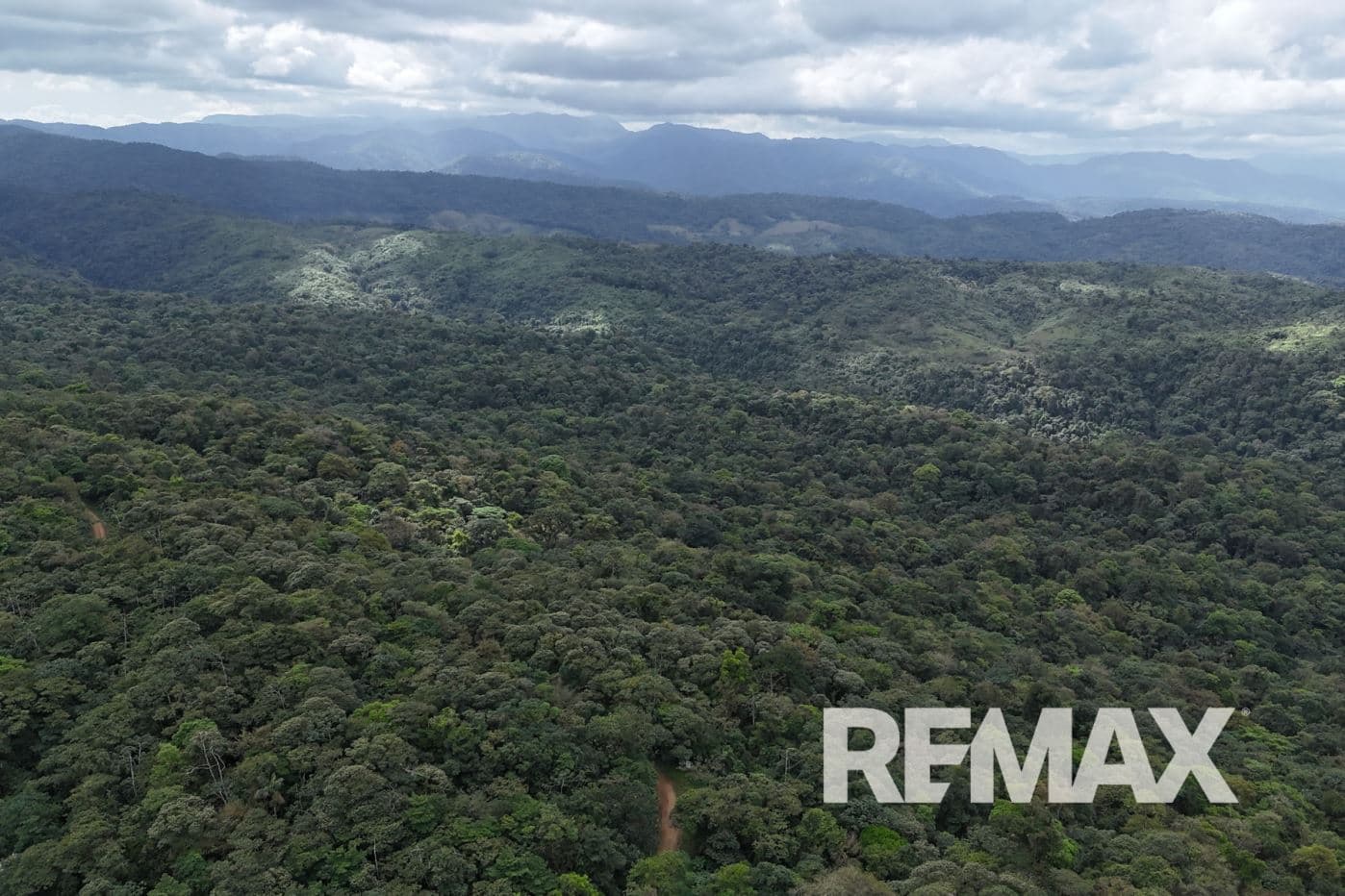757 Hectares of Cloud Forest for Sale in Costa Rica – Ideal for Carbon Credits, Conservation and Wellness Development, photo 7
