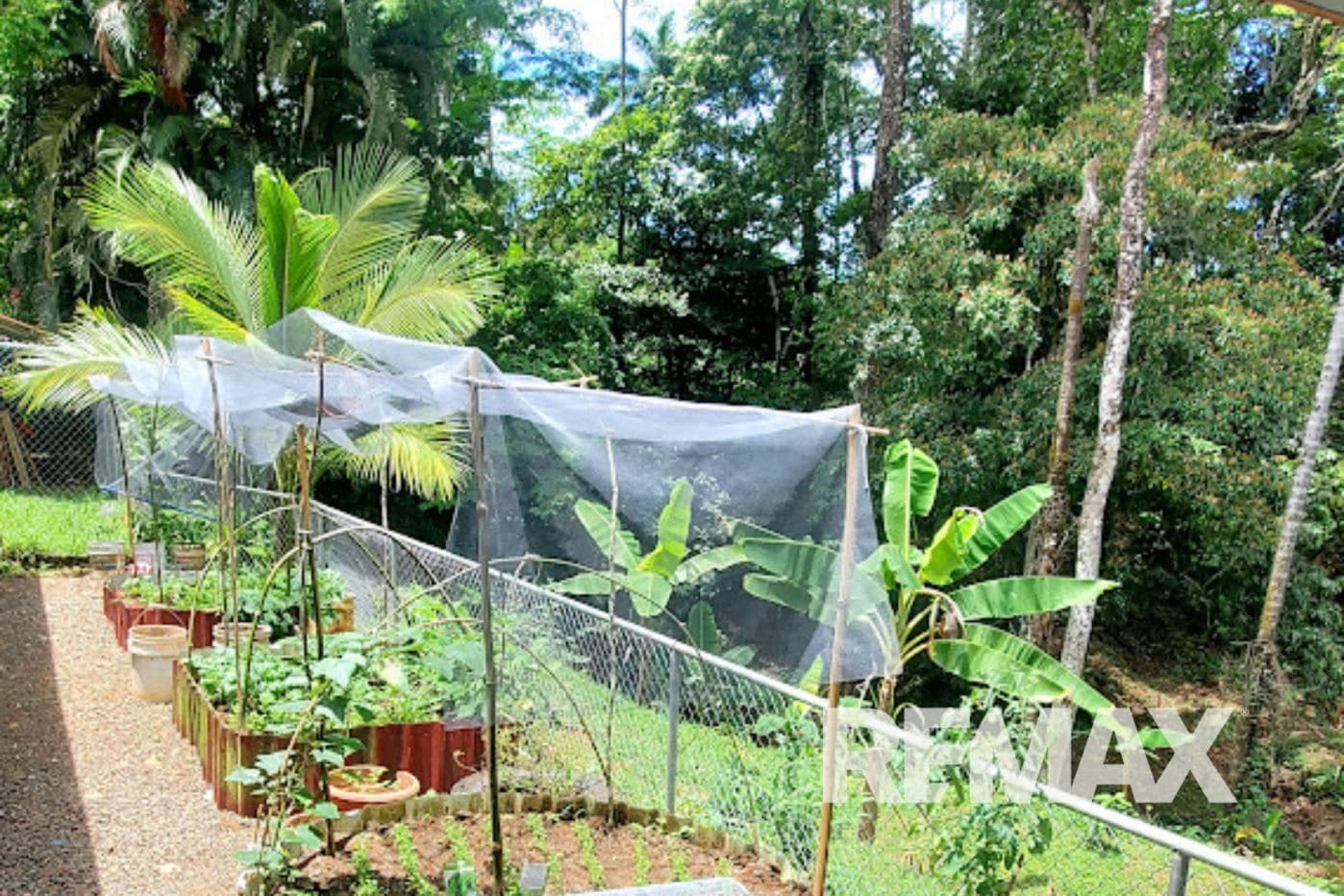 Boutique Eco-retreat & Airbnb Business for sale near La Fortuna, photo 33