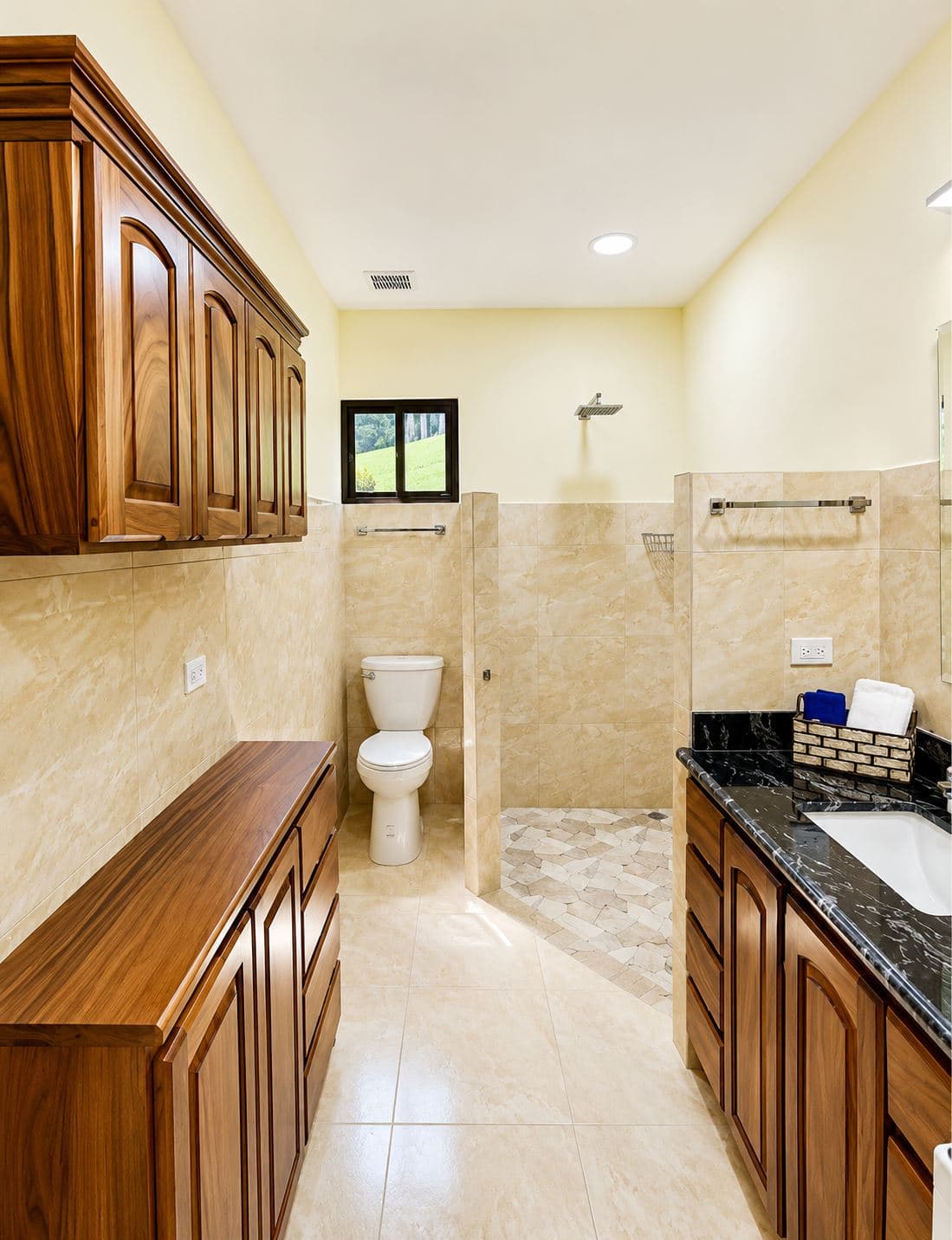 Newly Constructed 2 BR Home with Lake Arenal Views in San Luis, Guanacaste - Perfect Retirement or Rental Income, photo 14