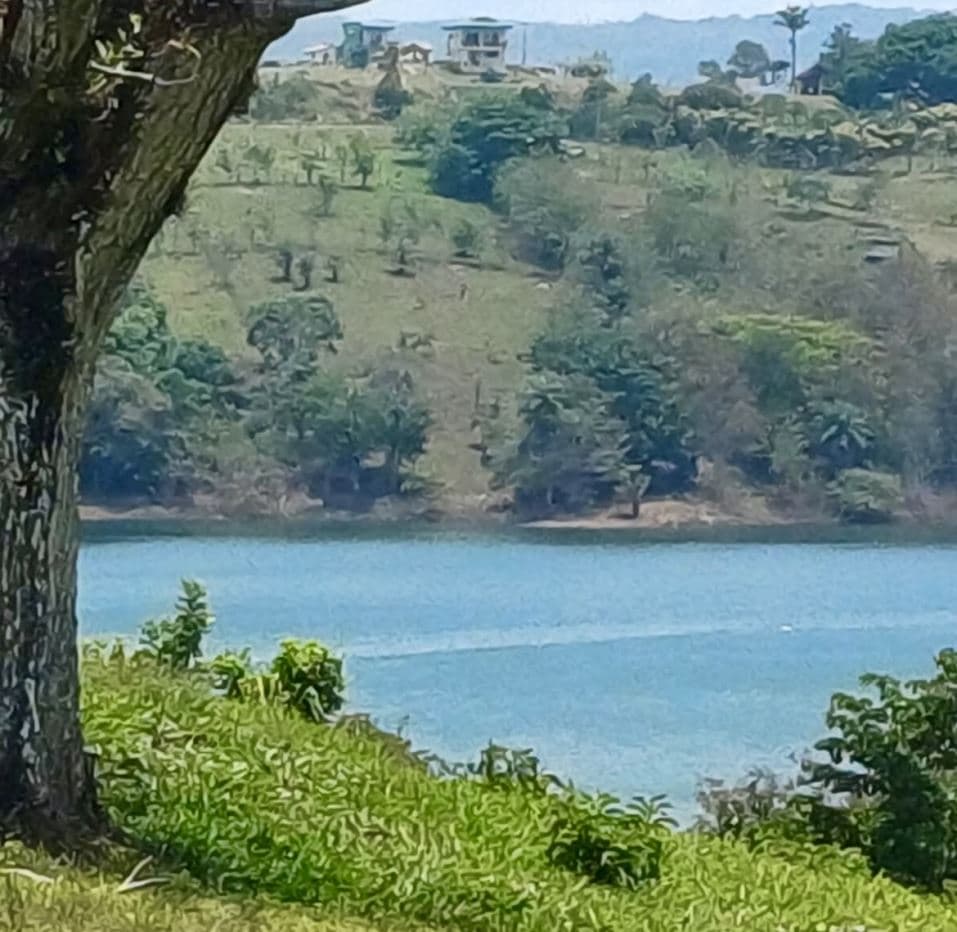 Custom-Built 2 Bedroom Lakeview Home in Tranquil San Luis, Tilaran, Guanacaste, photo 18