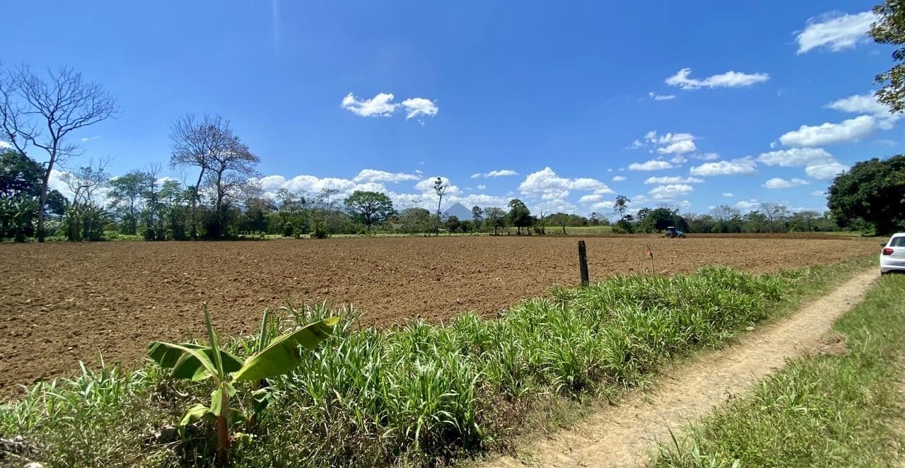 12.87 Acre Fertile Farm with Arenal Volcano Views & Agricultural Potential in La Fortuna, photo 5