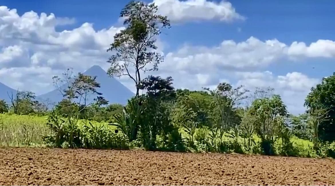 12.87 Acre Fertile Farm with Arenal Volcano Views & Agricultural Potential in La Fortuna, photo 6