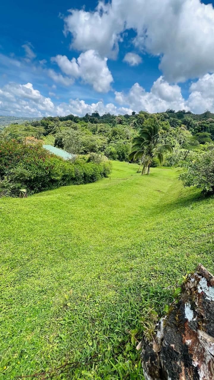 Stunning Buildable 3.4 Acre Lot in La Union with Panoramic Lake Arenal Views, photo 10