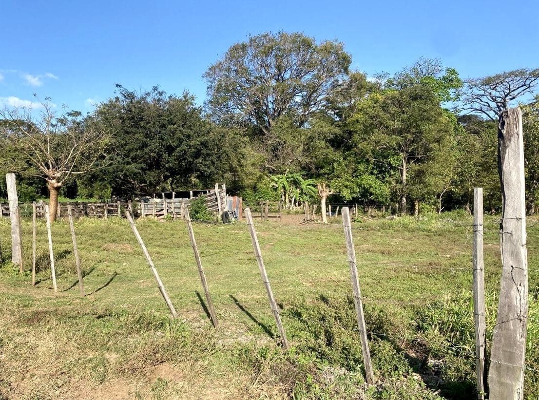 78 Hectares in Tilaran Guanacaste - Renewable Energy & Carbon Credit Potential with Agricultural and Ecotourism Upside, photo 12