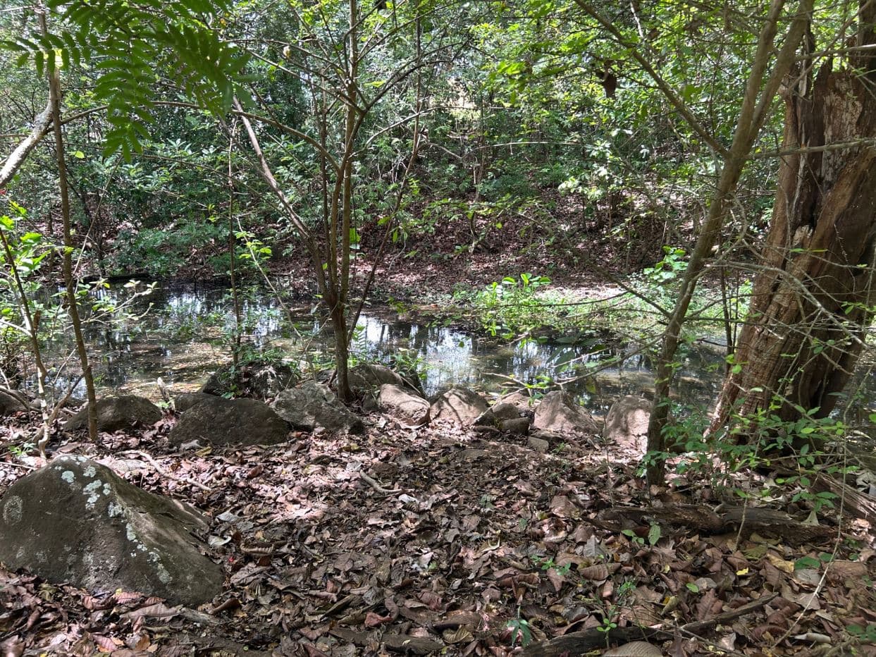 78 Hectares in Tilaran Guanacaste - Renewable Energy & Carbon Credit Potential with Agricultural and Ecotourism Upside, photo 11