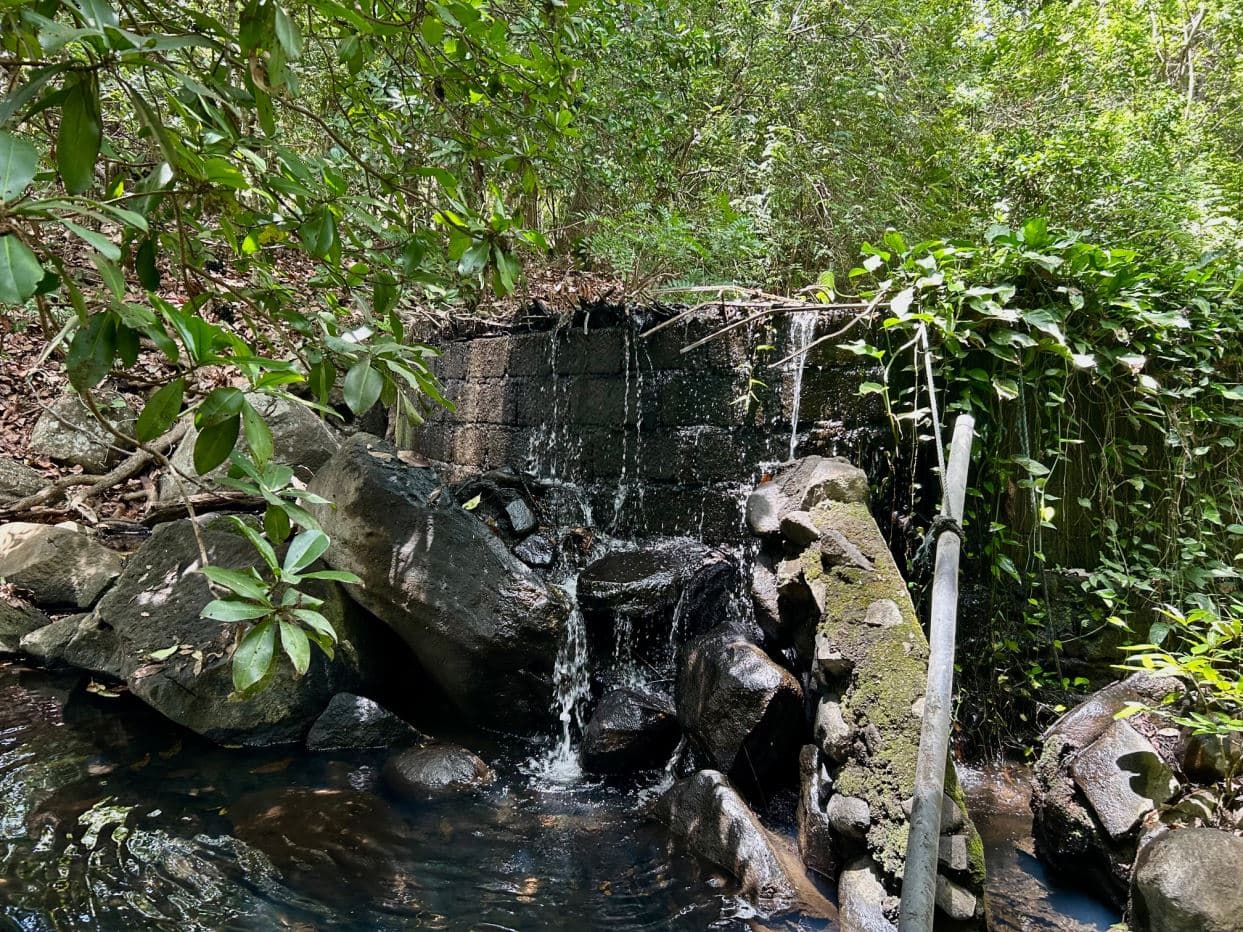 78 Hectares in Tilaran Guanacaste - Renewable Energy & Carbon Credit Potential with Agricultural and Ecotourism Upside, photo 10