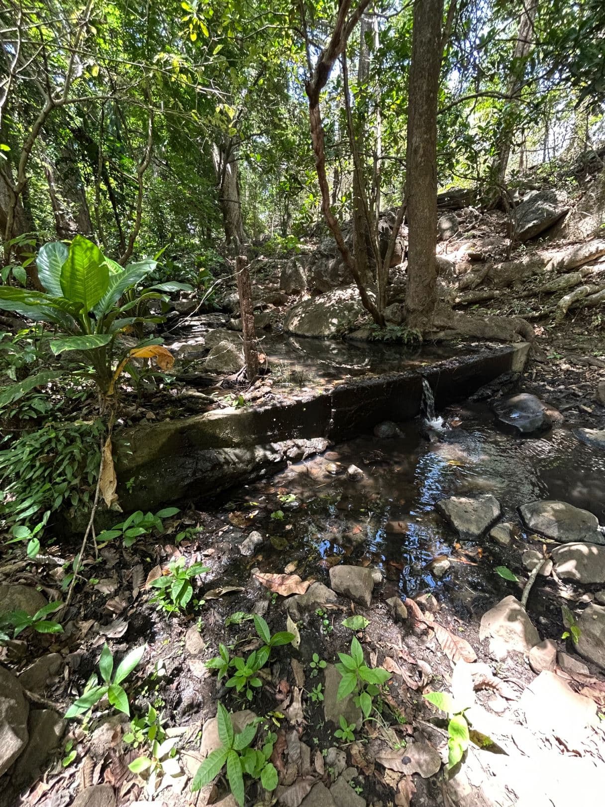 78 Hectares in Tilaran Guanacaste - Renewable Energy & Carbon Credit Potential with Agricultural and Ecotourism Upside, photo 2
