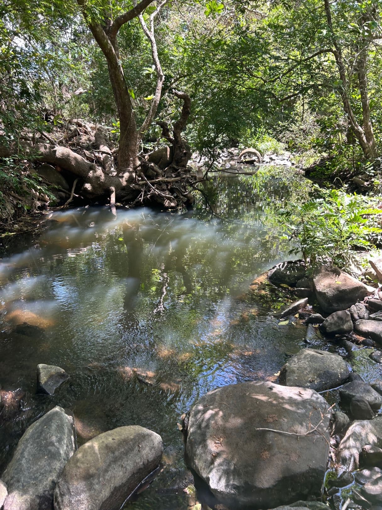78 Hectares in Tilaran Guanacaste - Renewable Energy & Carbon Credit Potential with Agricultural and Ecotourism Upside, photo 6