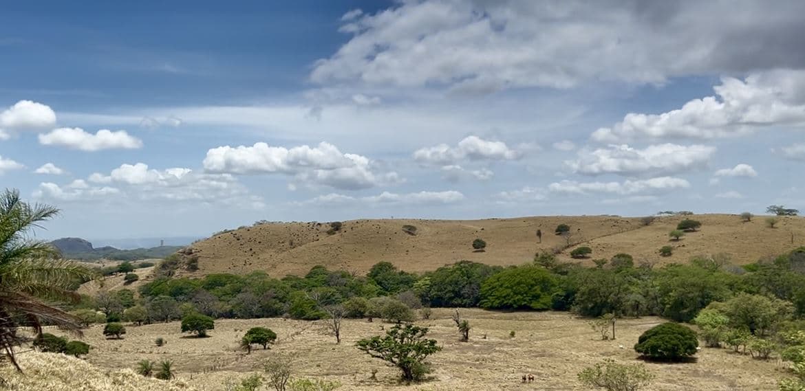 78 Hectares in Tilaran Guanacaste - Renewable Energy & Carbon Credit Potential with Agricultural and Ecotourism Upside, photo 4