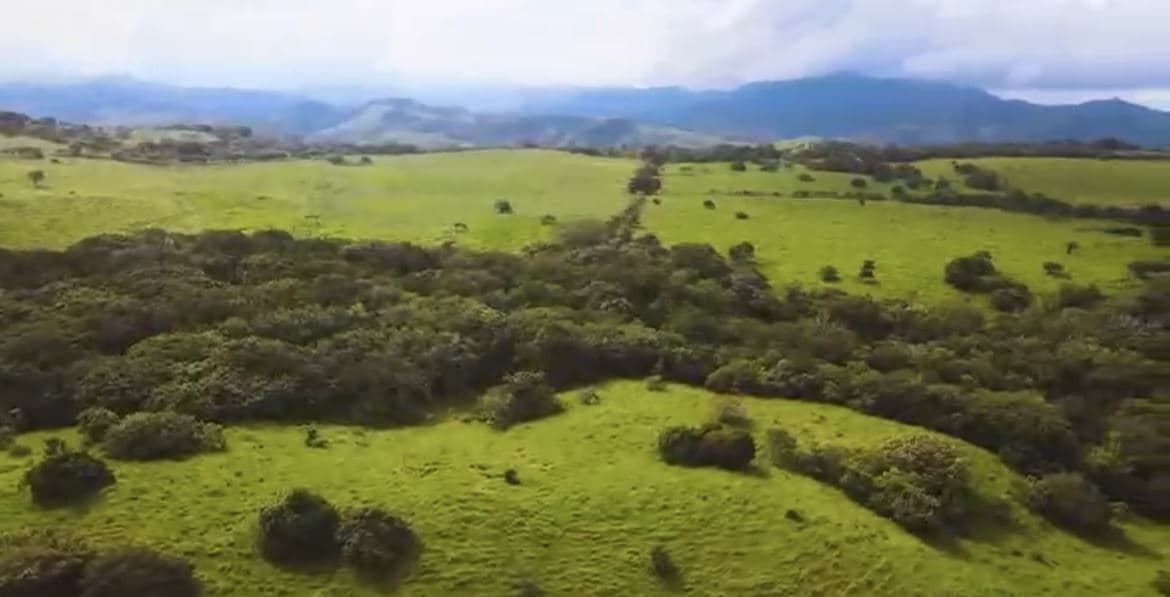 78 Hectares in Tilaran Guanacaste - Renewable Energy & Carbon Credit Potential with Agricultural and Ecotourism Upside, photo 3