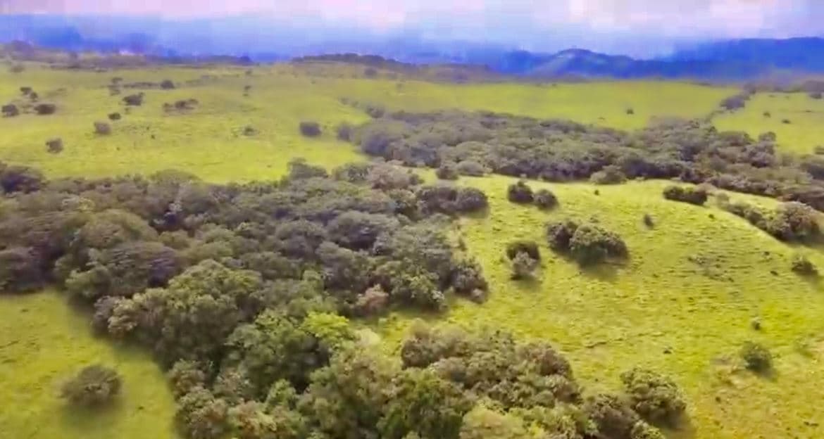78 Hectares in Tilaran Guanacaste - Renewable Energy & Carbon Credit Potential with Agricultural and Ecotourism Upside, photo 9