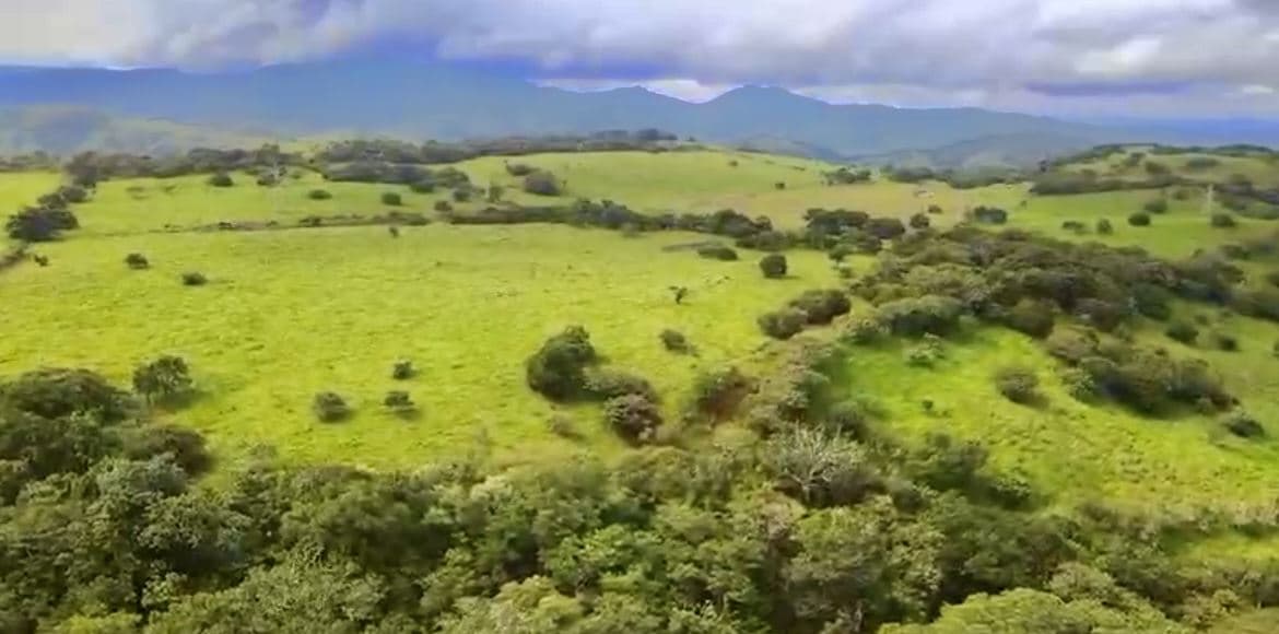 78 Hectares in Tilaran Guanacaste - Renewable Energy & Carbon Credit Potential with Agricultural and Ecotourism Upside, photo 8