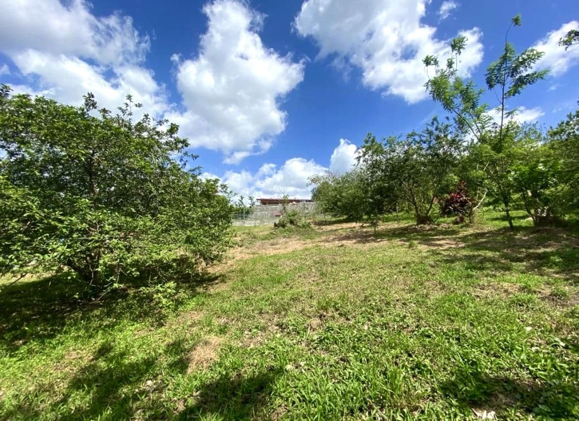 A Prestigious Lot in Arenal Volcano National Park - Spectacular Lake & Volcano Views, photo 4