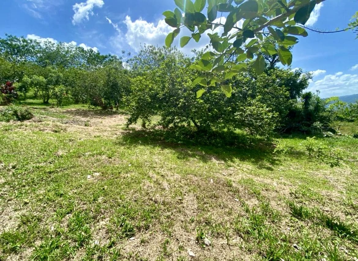 A Prestigious Lot in Arenal Volcano National Park - Spectacular Lake & Volcano Views, photo 9