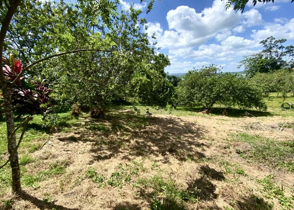 A Prestigious Lot in Arenal Volcano National Park - Spectacular Lake & Volcano Views, photo 6
