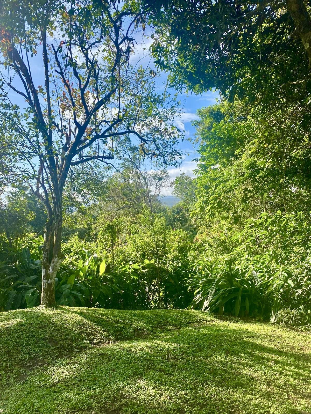 Charming Hillside Cottage on 1.4 Acres with Panoramic Lake Arenal Views and Development Potential, Guanacaste, Costa Rica, photo 27