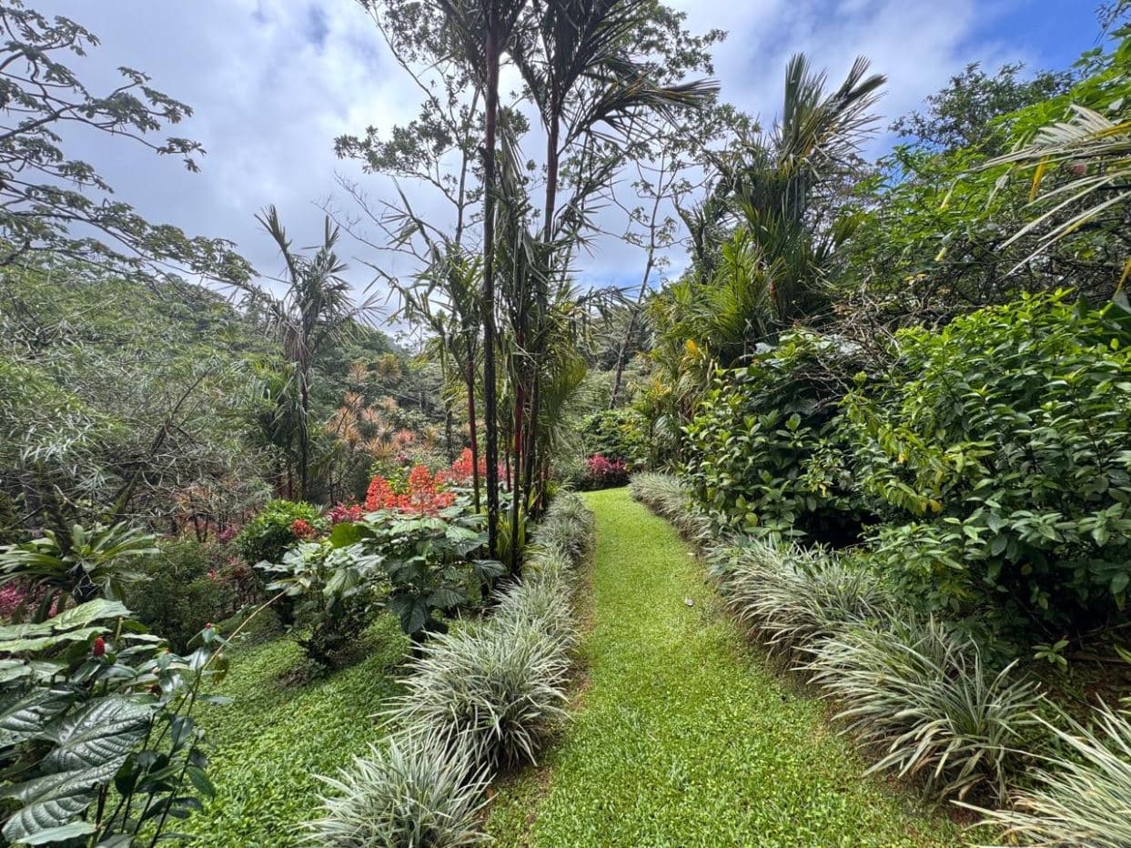 Striking Contemporary Lake Arenal Estate with California-Inspired Design and Arenal Volcano & Lake Views, photo 33