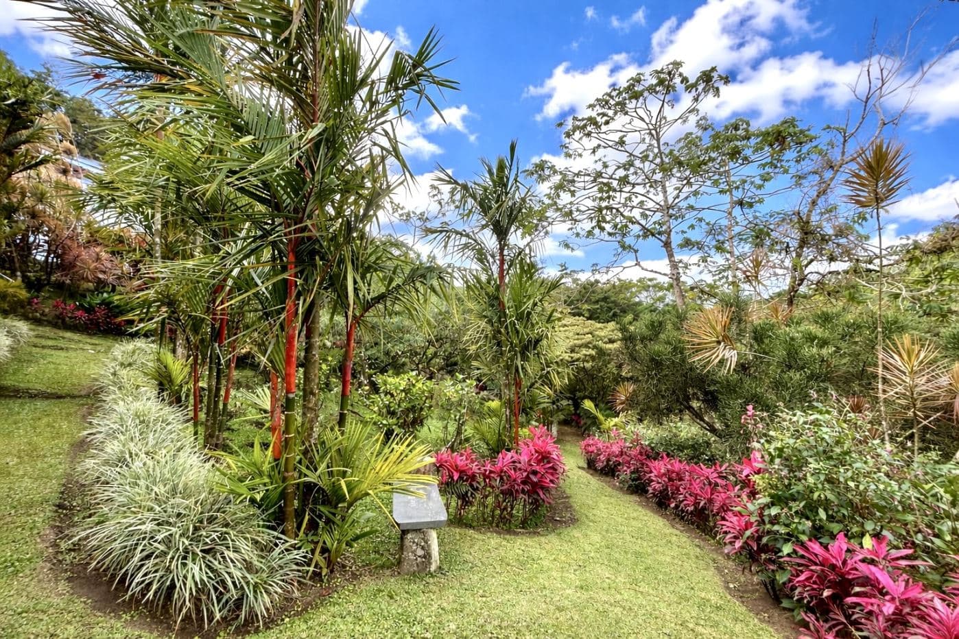 Striking Contemporary Lake Arenal Estate with California-Inspired Design and Arenal Volcano & Lake Views, photo 19