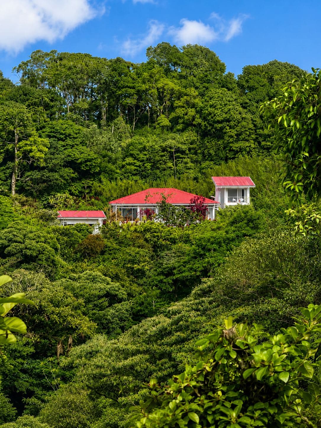 Striking Contemporary Lake Arenal Estate with California-Inspired Design and Arenal Volcano & Lake Views, photo 23