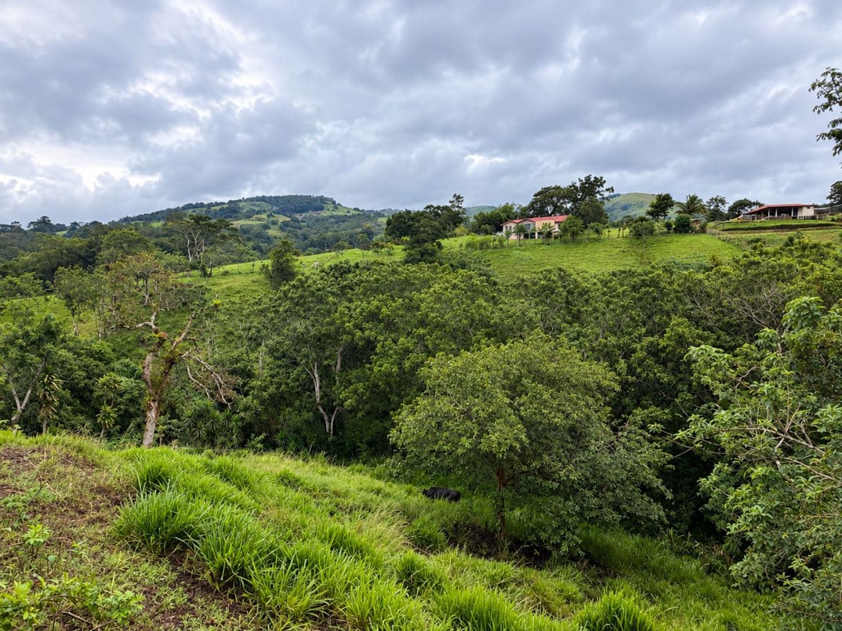 A Traditional Costa Rican Home with Character in Tronadora, photo 19