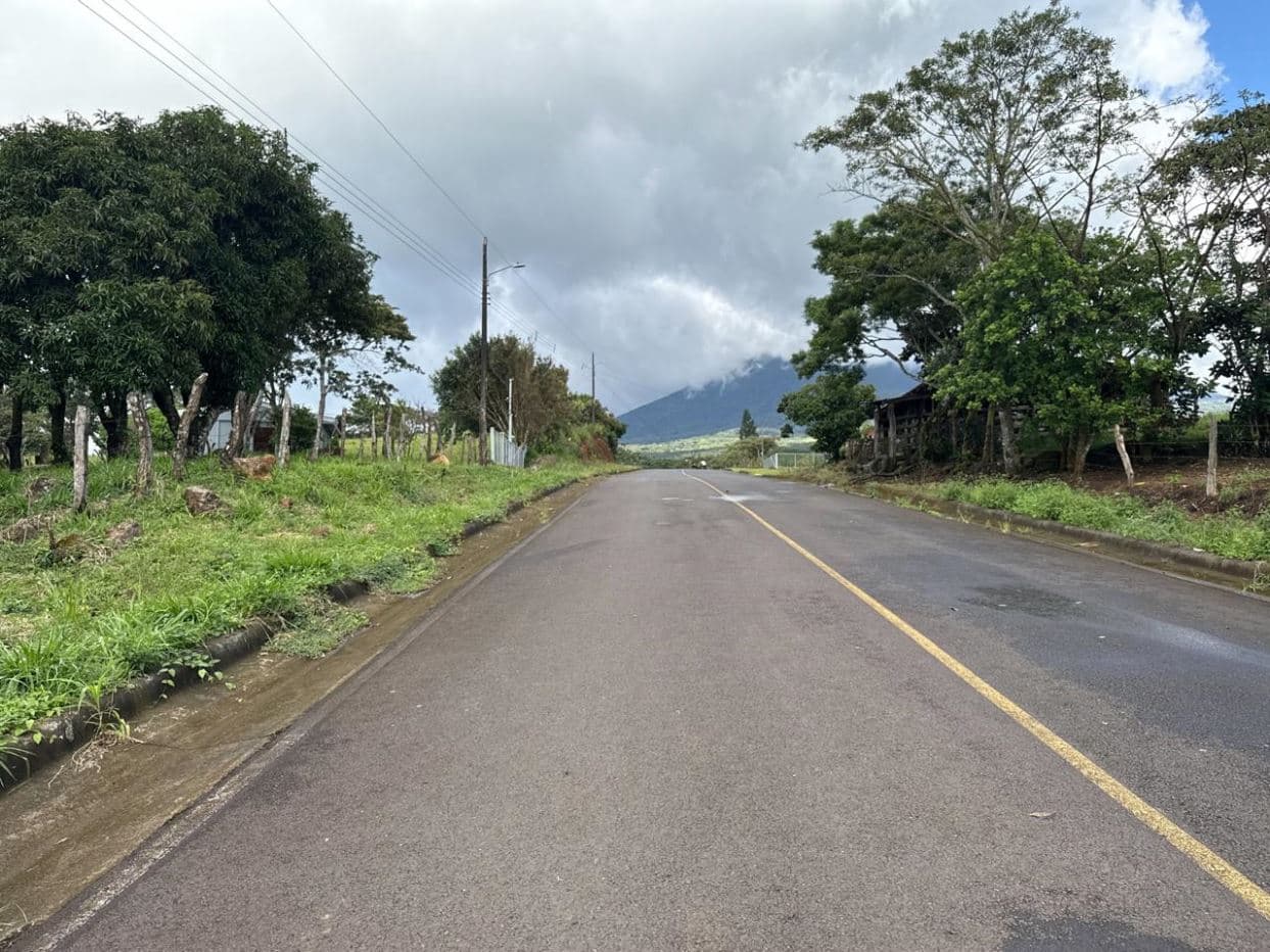 Farm –Nueva Guatemala, Palmira de Cañas, Guanacaste, Costa Rica, photo 22