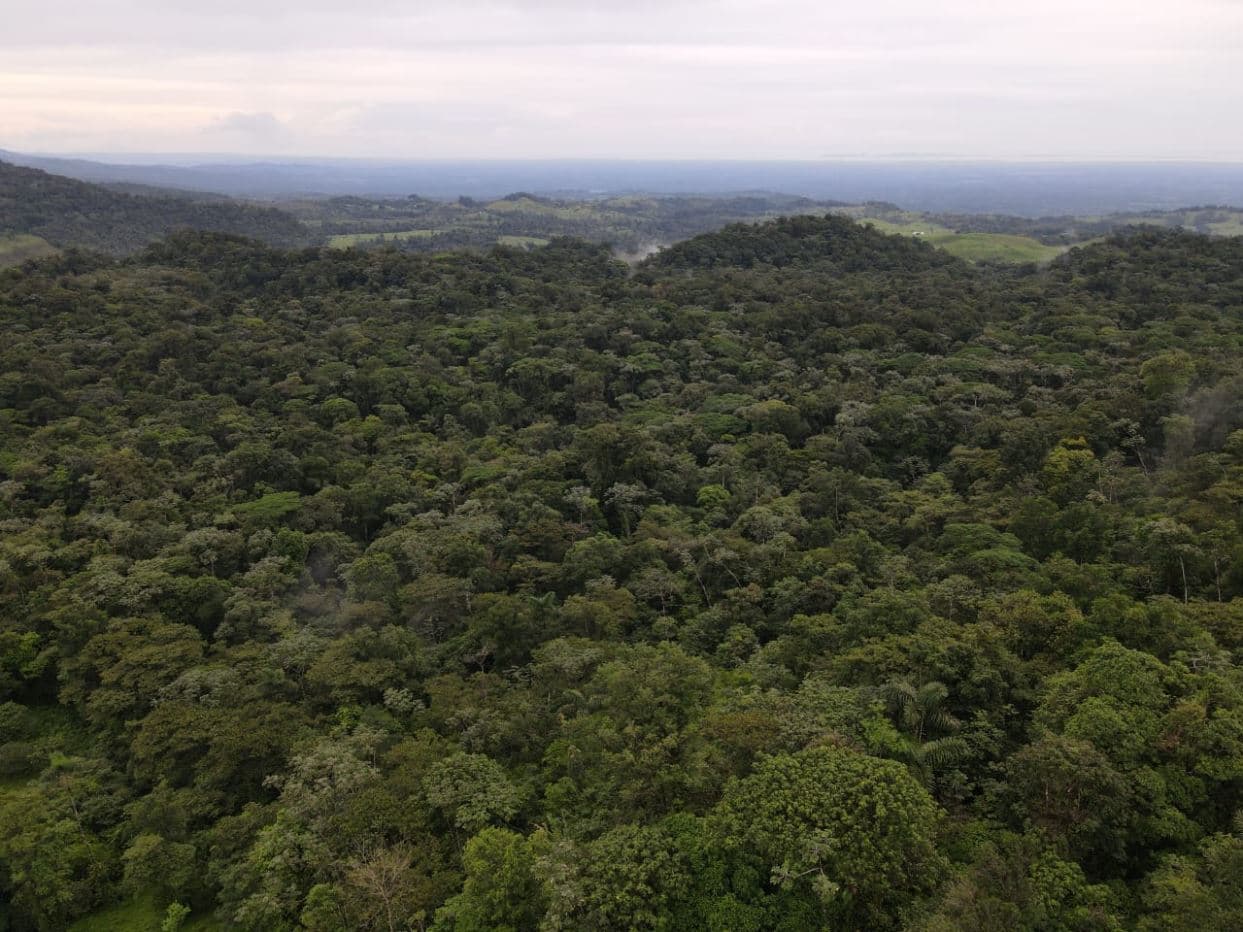 TOURISM FARM FOR SALE – RÍO CELESTE, BIJAGUA, photo 3