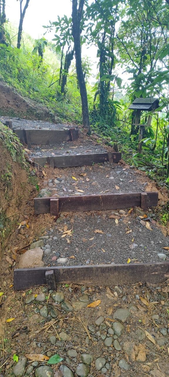 TOURISM FARM FOR SALE – RÍO CELESTE, BIJAGUA, photo 9