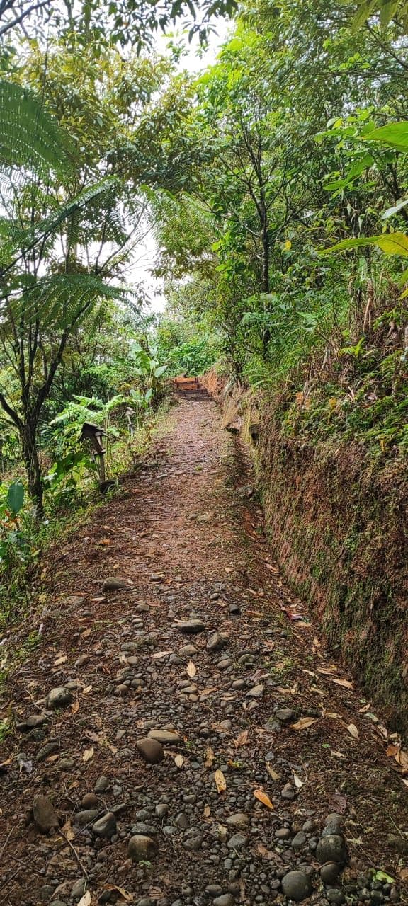 TOURISM FARM FOR SALE – RÍO CELESTE, BIJAGUA, photo 2