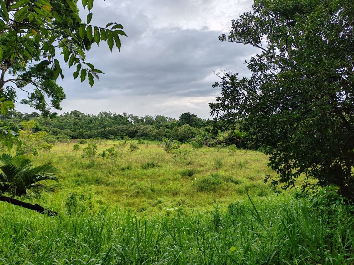 PROPERTY FOR SALE – BIJAGUA, GUANACASTE, photo 3