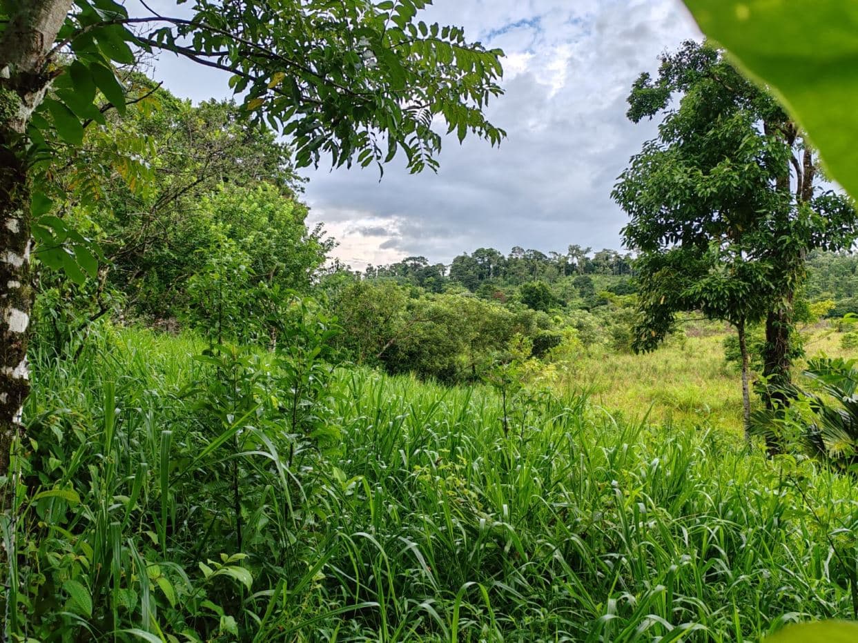 PROPERTY FOR SALE – BIJAGUA, GUANACASTE, photo 5