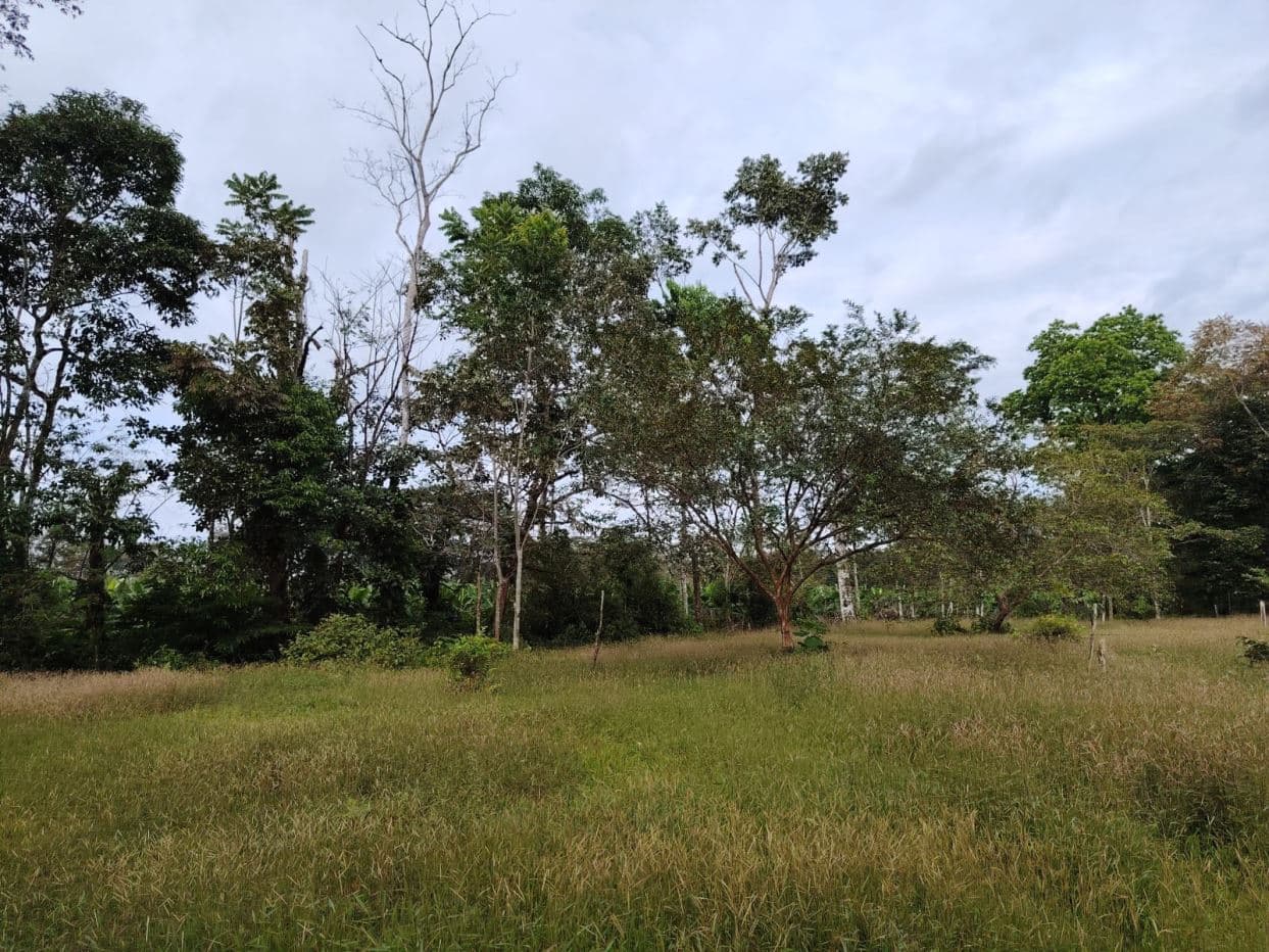 Contry Farm in Guanacaste – Bijagua, Buena Vista