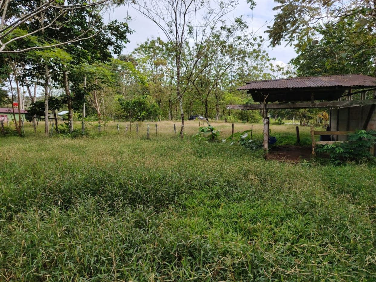 Contry Farm in Guanacaste – Bijagua, Buena Vista, photo 3