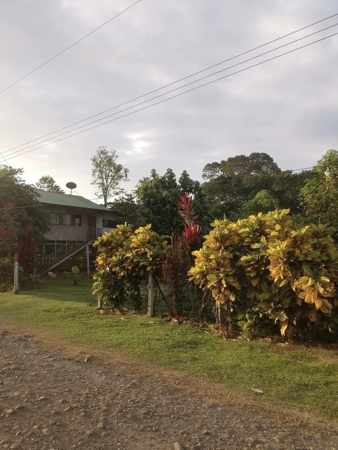 PROPERTY WITH TWO HOMES FOR SALE – PEACEFUL & NATURAL SETTING