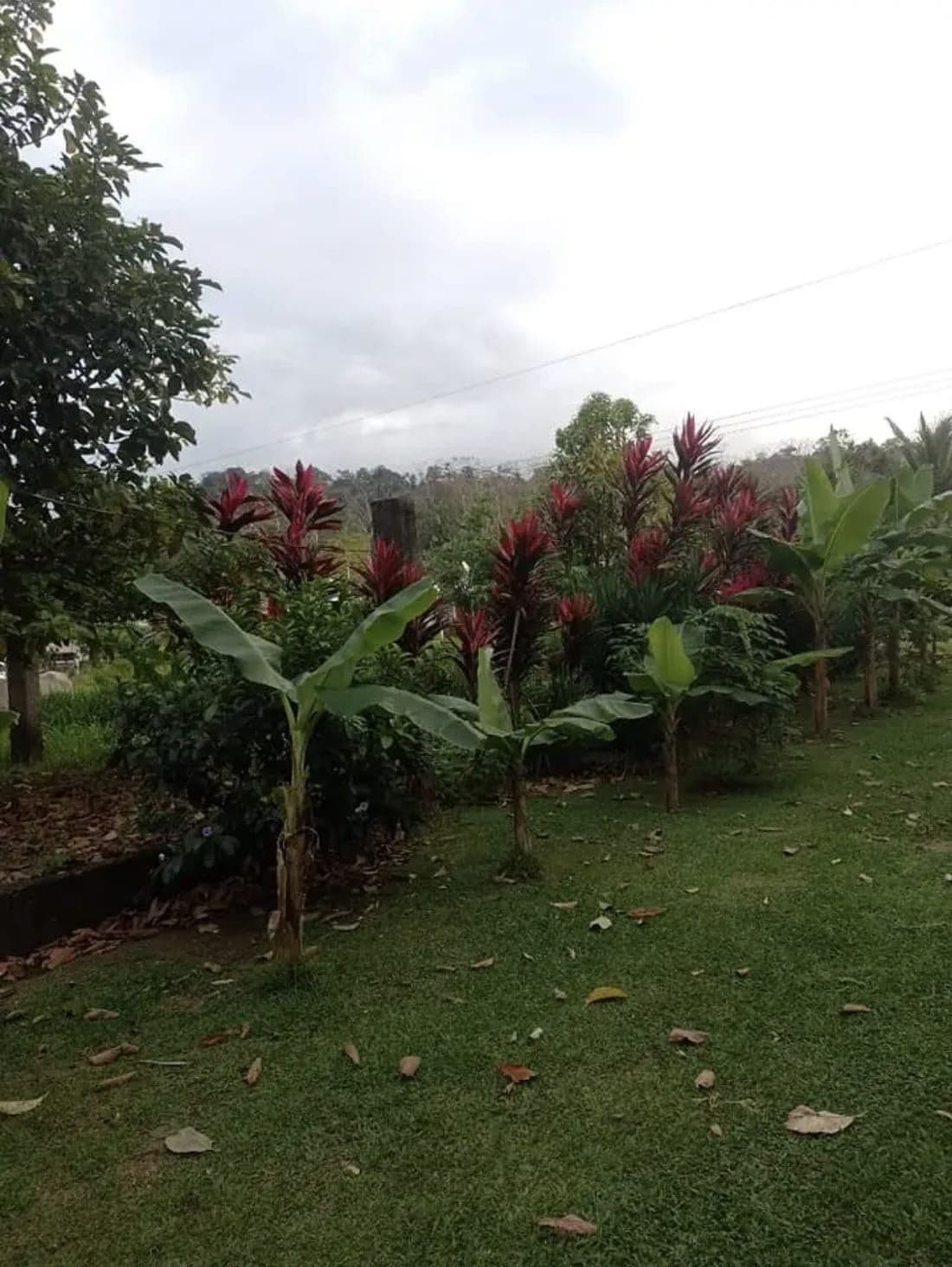 PROPERTY WITH TWO HOMES FOR SALE – PEACEFUL & NATURAL SETTING, photo 9