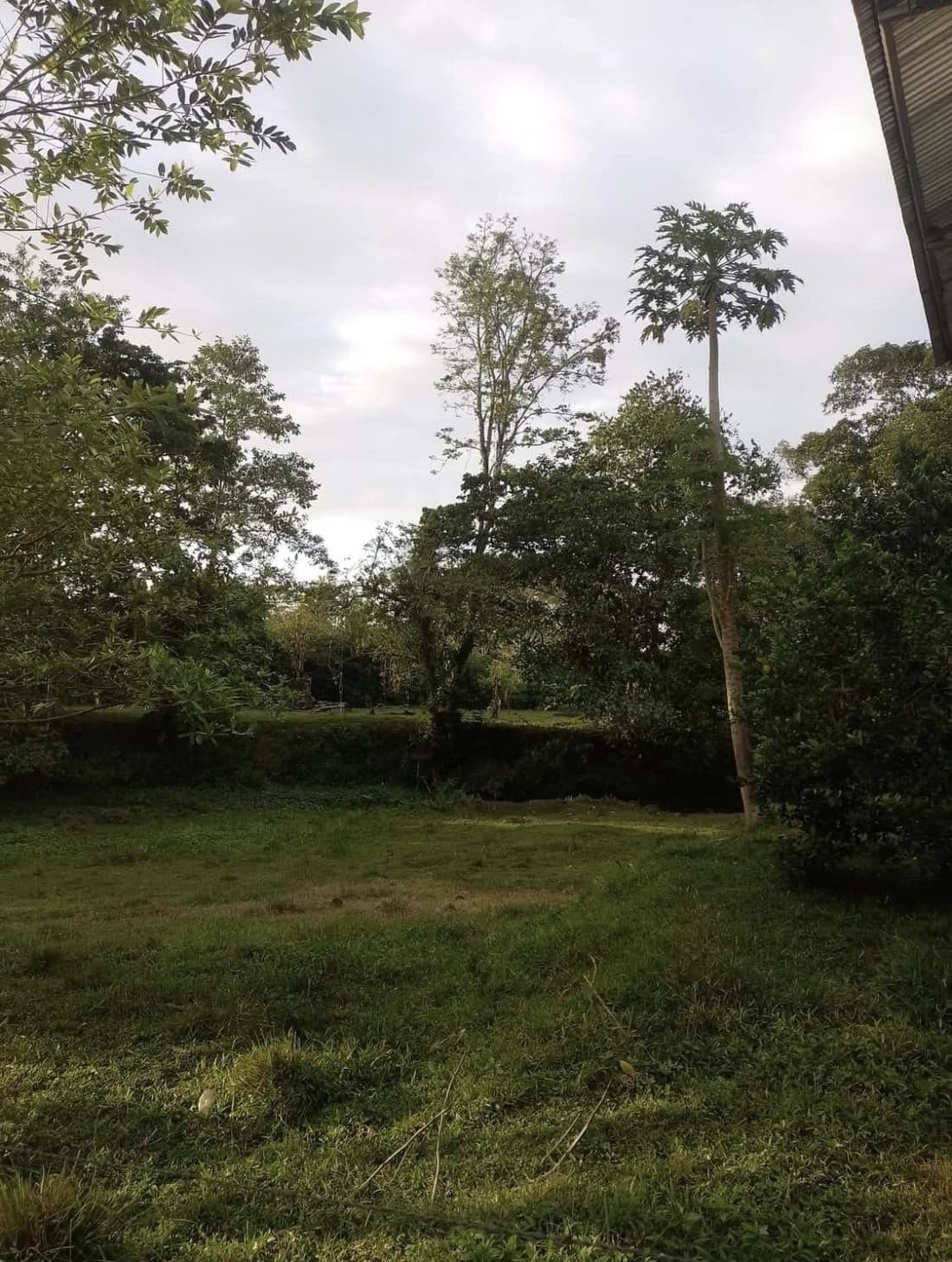 PROPERTY WITH TWO HOMES FOR SALE – PEACEFUL & NATURAL SETTING, photo 5