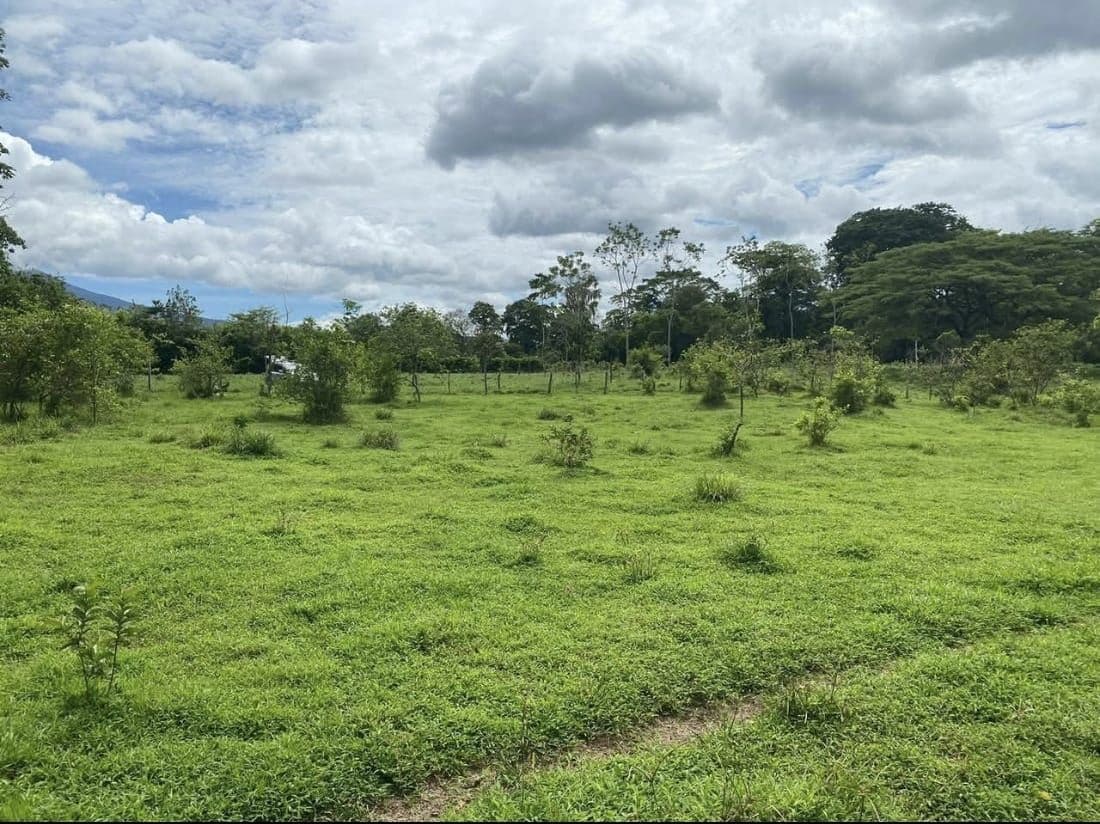 PROPERTY WITH TWO HOMES FOR SALE – PEACEFUL & NATURAL SETTING, photo 4