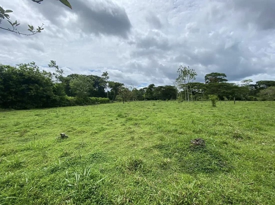 PROPERTY WITH TWO HOMES FOR SALE – PEACEFUL & NATURAL SETTING, photo 7