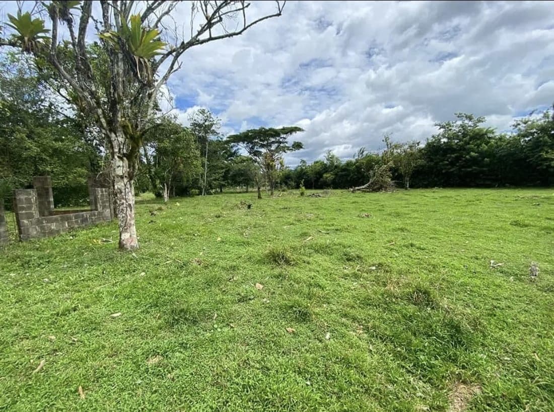 PROPERTY WITH TWO HOMES FOR SALE – PEACEFUL & NATURAL SETTING, photo 6