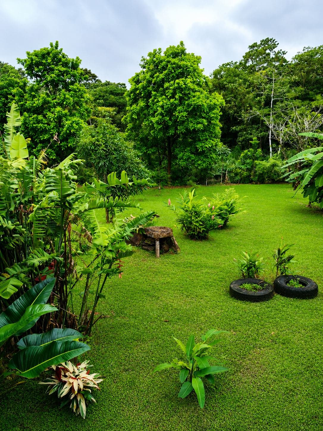 Eco-Tourism Property for Sale – 9,543 m² in Bijagua, Upala, photo 48