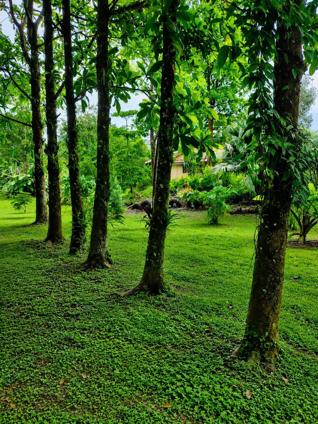 Eco-Tourism Property for Sale – 9,543 m² in Bijagua, Upala, photo 54